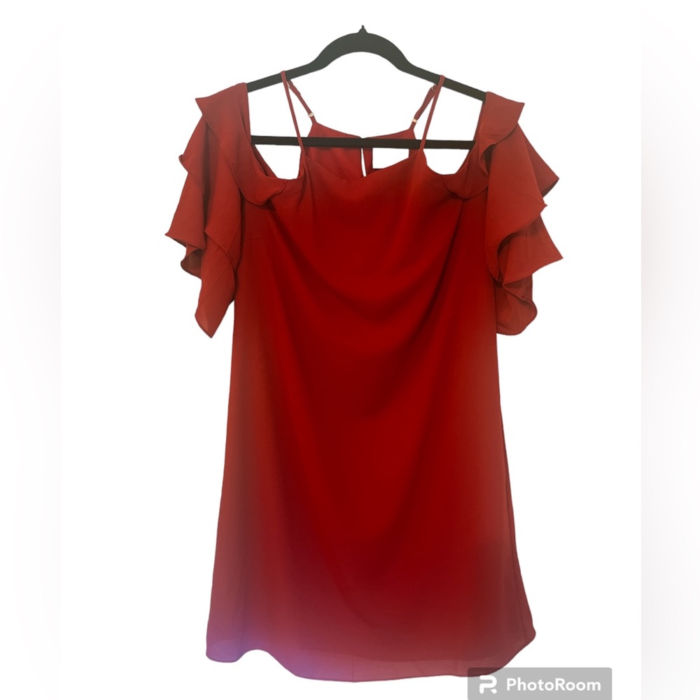 NWT Skies are blue dress